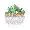 Succulents and cacti outline multicolored vector background. Minimalistic design. Part three.