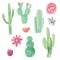 Succulents Cactus Hand Painted Watercolor Cacti Elements