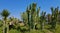 Succulents, cactus and palm trees in a park near Duden waterfall, Turkey