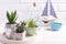 Succulents and cactus plants in pots on tray, bottles and  decorative boat
