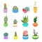 Succulents and cactus in pots of different colors. Cute flat cartoon elements for home design. Vector illustration set of hand