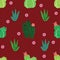 Succulents, cactuses and other plants growing in florariums