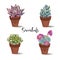 Succulents in clay pots. Set. Graphics with watercolor. Vector.