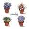 Succulents in clay pots. Set. Graphics with watercolor. Vector