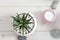 Succulents in a concrete pot on a white wooden table. In the background there are candles and decorative stones