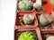 Succulents in the form of lithops and astrophytum. Cactus close-up