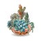 Succulents in glass aquariums. Colored sand. Flower decorative compositions. Graphics. Watercolor. Vector.