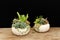 Succulents mix arrangement in white pumpkin planter on wooden table