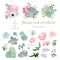 Succulents, protea, rose, anemone, echeveria, hydrangea, decorative plants big vector collection.