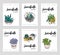 Succulents shop advertising cards collection. Colorful domestic plants store flyer set. Vector illustration on white