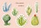 Succulents vector stickers, cacti set