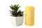 Succulents in white flowerpot and candle