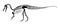 Suchomimus skeleton . Silhouette dinosaurs . Side view . Vector