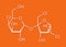 Sucralose artificial sweetener molecule. Used as sugar substitute. Skeletal formula.