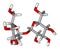 Sucrose sticks molecular model