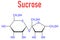 Sucrose sugar molecule. Also known as table sugar, cane sugar or beet sugar. Skeletal formula.