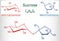 Sucrose sugar molecule. Structural chemical formula and molecule model