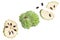 Sugar apple or custard apple isolated on white background . Exotic tropical Thai annona or cherimoya fruit. Top view