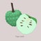 Sugar apple or custard apple whole and slice apple isolated on gray background.