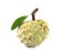 Sugar Apple with leaf custard apple, Annona, sweetsop isolated on white background