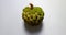 A sugar apple (\'Srikaya\')