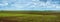 Sugar beet field crops lines , panorama