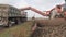 Sugar-beet harvesting. operation of loading the root in the back of a truck trailer.