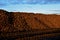 sugar beet landfill. preparation for transport from field directly to sugar