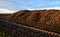 sugar beet landfill. preparation for transport from field directly to sugar