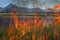 Sugar Cane Burning and Mount Warning in Australia