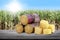 Sugar cane cut heap on wood plank and blurred sugarcane field plantation background, sugarcane fresh cut on wood