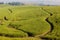 Sugar-Cane Farming Landscape