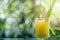 Sugar Cane Freshly Squeezed Juice with Sugar Cane Branches on Blurred Background, Sugarcane Juice