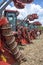 Sugar cane harvesting in Brazil