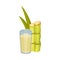 Sugar Cane Strong Unbranched Stems with Sugar Juice Poured in Glass Vector Illustration