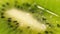 Sugar Crystals rains on the ripe green kiwi macro shot footage
