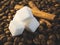 Sugar cubes abstract background and coffee beans