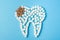 Sugar destroys the tooth enamel and leads to tooth decay. Tooth made of white and caries made of brown sugar cubes.