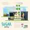 sugar factory. from cane to sugar process. sugar industrial concept - vector