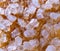 Sugar glaze crystals macro, background, full frame