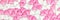 Sugar hearts colored white and pink, panorama background