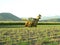 Sugar Industry Sugarcane Harvest Scene in Ingham Queensland Australia