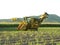 Sugar Industry Sugarcane Harvest Scene in Ingham Queensland Australia