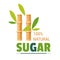 Sugar natural organic product sugarcane farm isolated icon