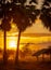 Sugar palm tree and old hut in the morning with the beautiful sunrise sky. Golden sunrise sky in rural with grass field and mist