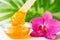 Sugar paste or wax honey for hair removing flows down from wooden waxing spatula sticks. flower background - depilation