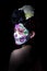 Sugar skull or Catrina makeup - portrait photo