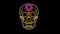 Sugar Skull Neon Sign 2D Animation