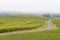 Sugarcane fields, Kwazulu-Natal, South Africa