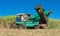 Sugarcane harvest on the field with a combine harvester - Serie Cuba Reportage